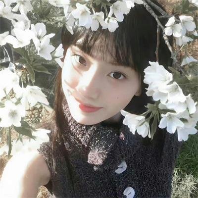 星耀女孩:好莱坞篇